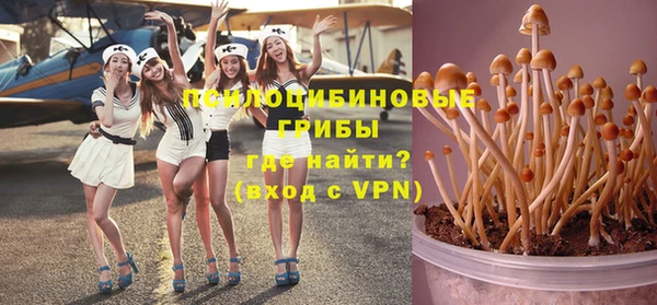 метамфетамин Алексеевка