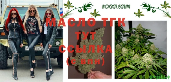 ECSTASY Алзамай