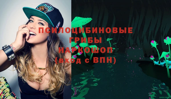 метамфетамин Алексеевка