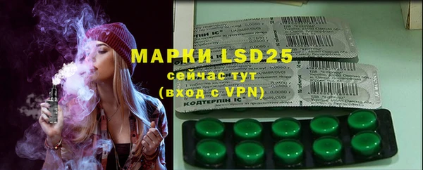 ECSTASY Алзамай