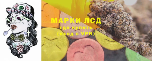 ECSTASY Алзамай