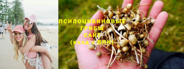 ECSTASY Алзамай