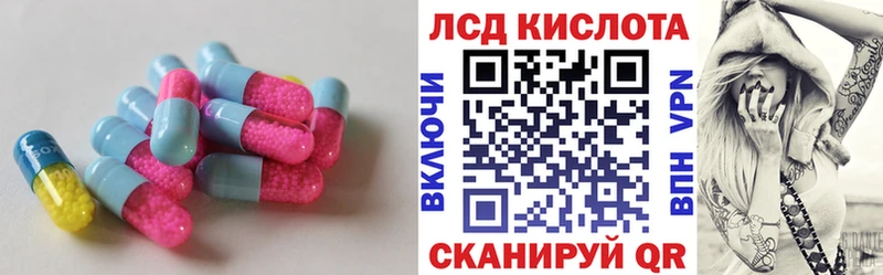 дарк нет официальный сайт  Петровск  Лсд 25 экстази ecstasy 