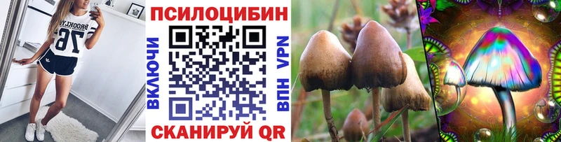 Псилоцибиновые грибы GOLDEN TEACHER  Петровск 